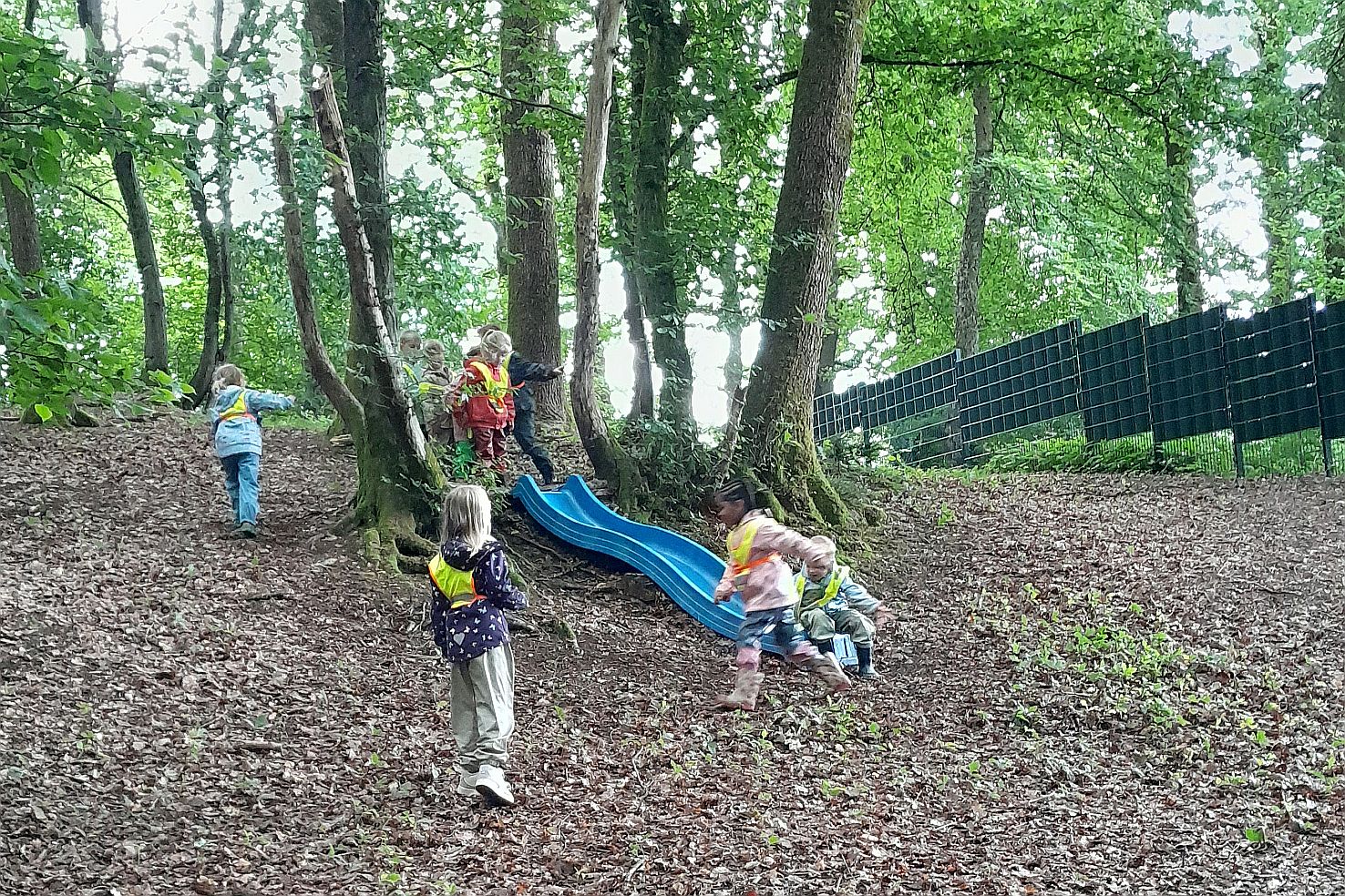 Kinder spielen im Wald