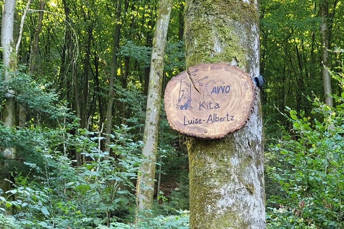 Waldspielplatz_Kita Albertz 2026 (1) Eine Baumscheibe mit dem Namen der Kita