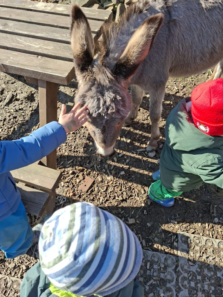 Kinder streicheln einen Esel