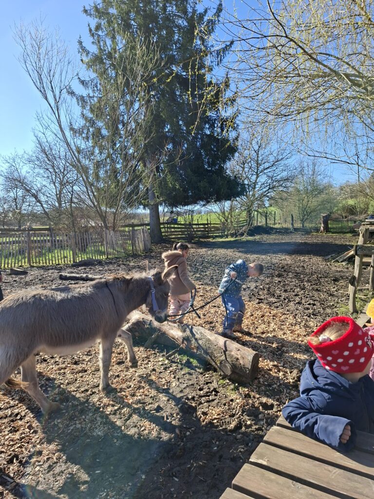 Kinder führen einen Esel an der Leine