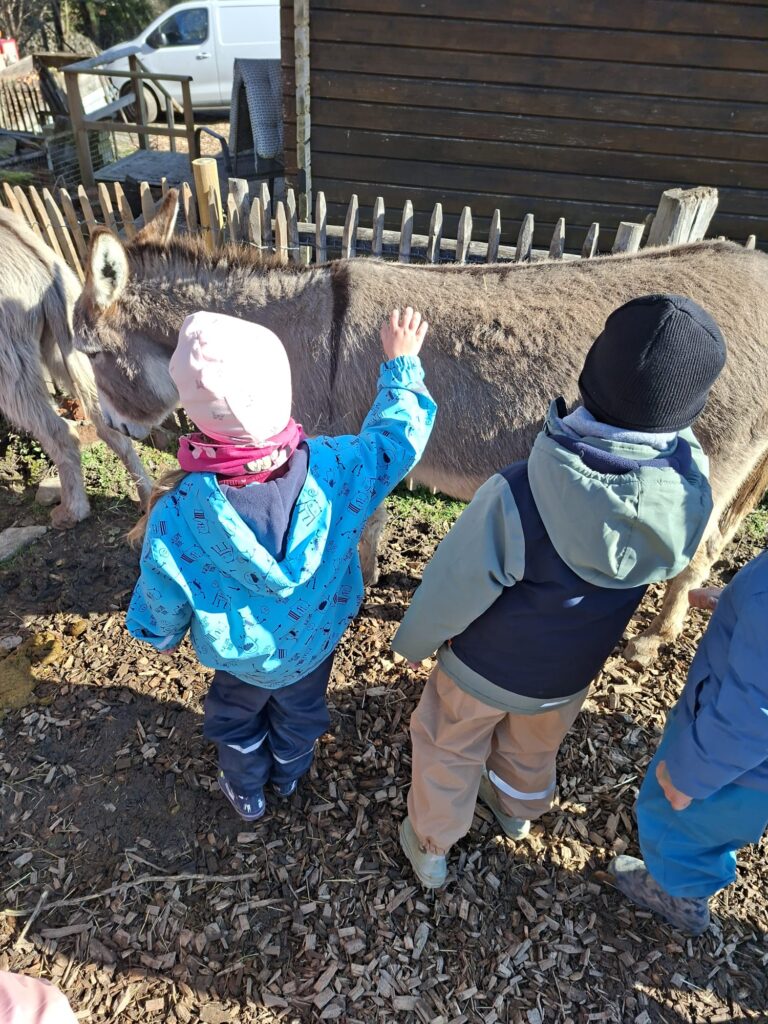 Kinder befühlen das Fell eines Esels