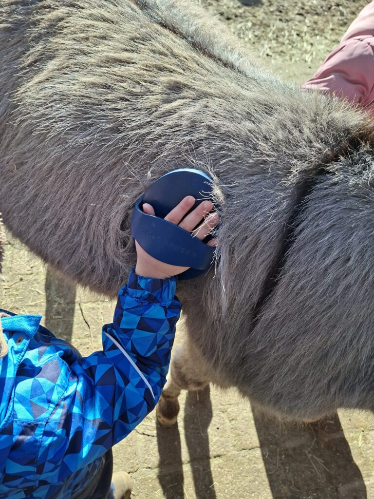 Eine Kinderhand, die einen Esel striegelt