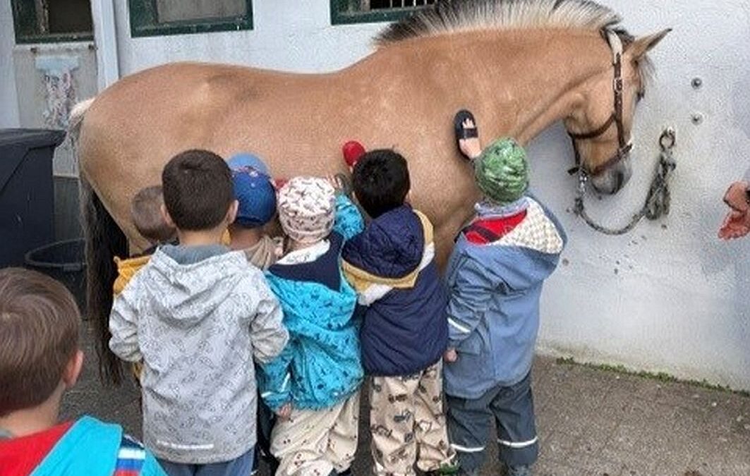 Der Ponyclub für angehende Schulkinder