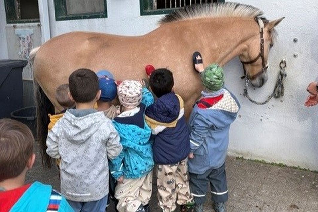 Happach (2) Kinder striegeln ein Pferd